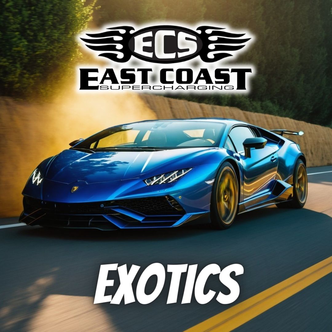 Exotic car performance